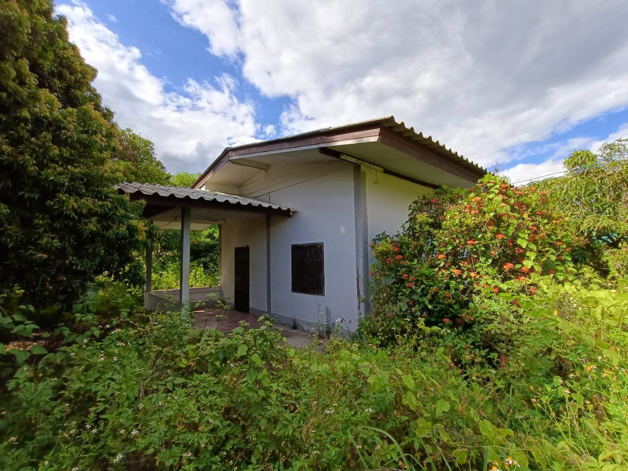 รูป บ้านเดี่ยว 125 ตร.วา ฝาง เชียงใหม่ ฝาง เชียงใหม่ 374,000 - รูปที่ 2/3