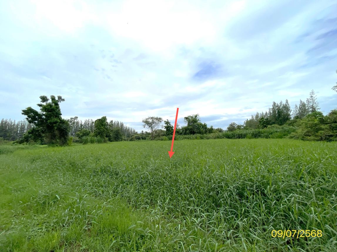 picture LAND 7131 Sq.w. Pak Tho Ratchburi for 3.2M - 19/24