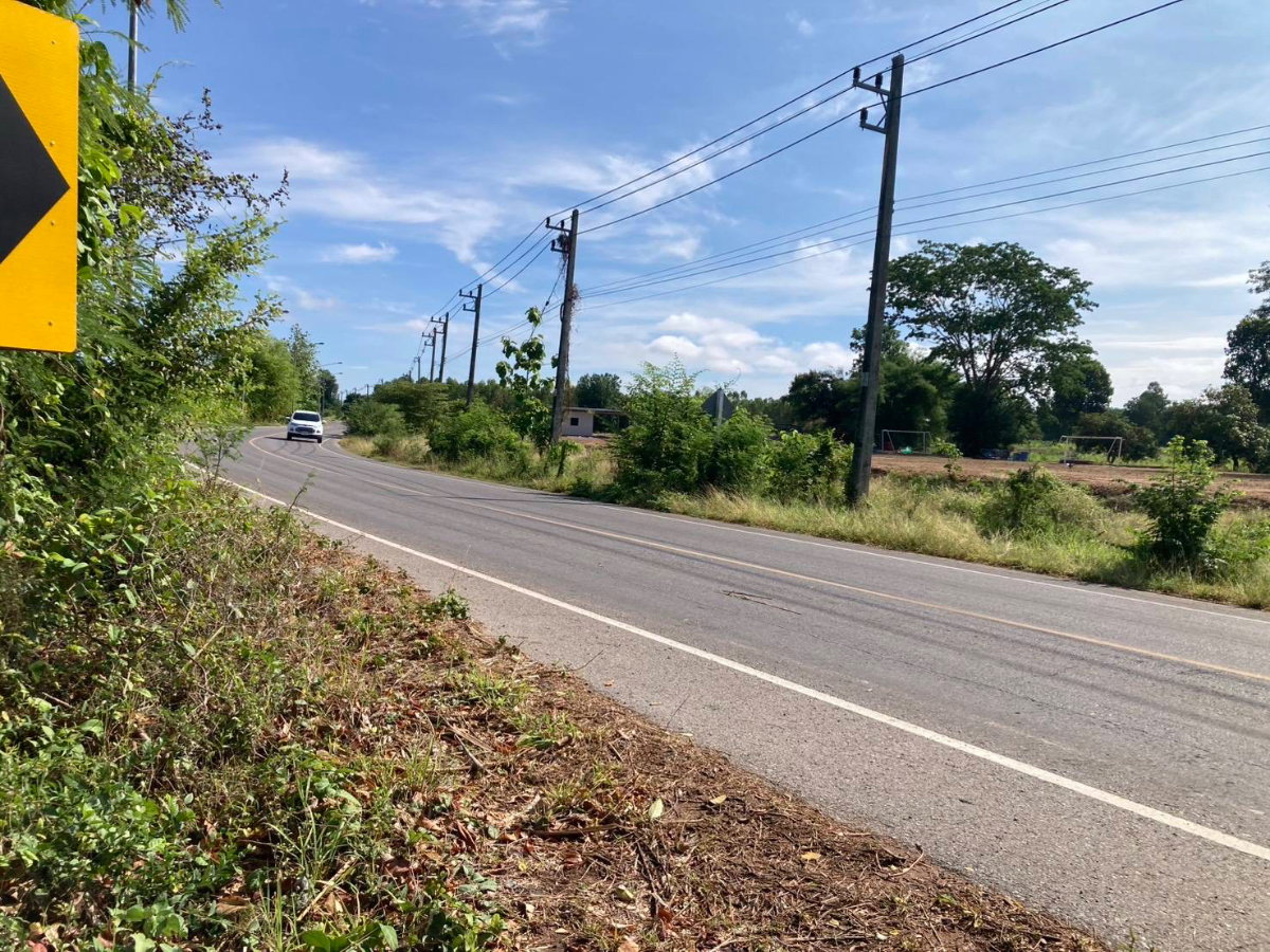 รูป ที่ดินติดถนน จังหวัดชัยภูมิ 6 ไร่ พร้อมขาย - รูปที่ 1/1