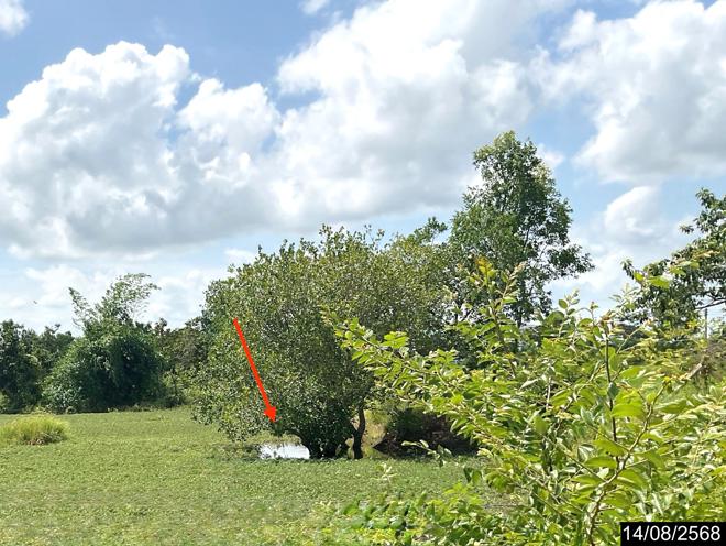 picture LAND 7685 Sq.w. Muang Muddahan Mukdahan for 123M - 9/22