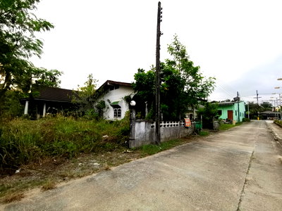 บ้านเดี่ยว ตะกั่วทุ่ง พังงา : บ้านเดี่ยว 348 ตร.วา ตะกั่วทุ่ง พังงา ตะกั่วทุ่ง พังงา 1.8M