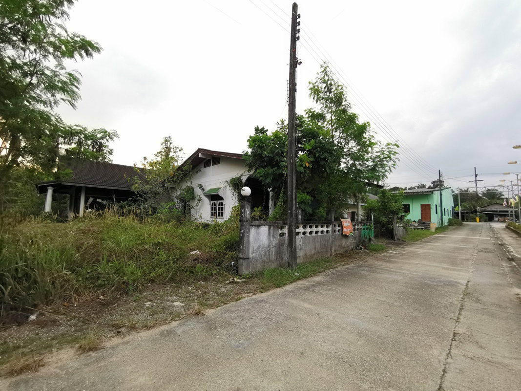 รูป บ้านเดี่ยว 348 ตร.วา ตะกั่วทุ่ง พังงา ตะกั่วทุ่ง พังงา 1.8M - รูปที่ 1/2