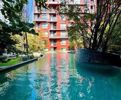 picture R2998 Condo For Rent The Tree Dindaeng Ratchaprarop - 21/21