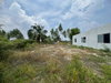 listing thumbnail image 13
