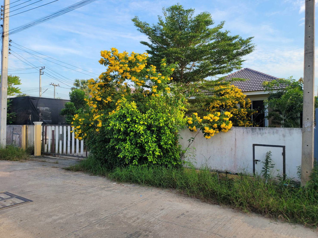 รูป บ้านเดี่ยว 80 ตร.วา กัสมา 2 (เฟส 3)  เพชรบุรี เมืองเพชรบุรี เพชรบุรี 2.4M - รูปที่ 3/3
