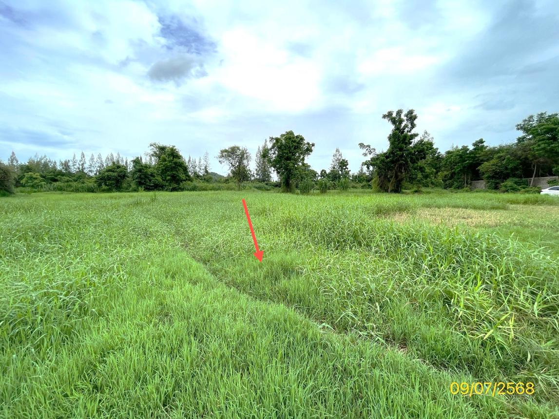 picture LAND 7131 Sq.w. Pak Tho Ratchburi for 3.2M - 15/24