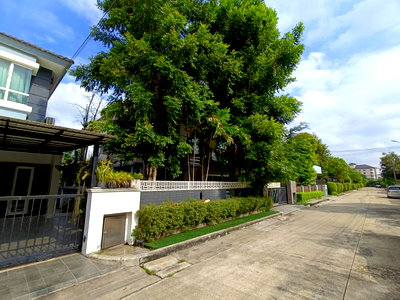 บ้านเดี่ยว ม.เอเชียอาคเนย์ : บ้านเดี่ยว 50.7 ตร.วา ไลฟ์ บางกอก บูเลอวาร์ด ปิ่นเกล้า-เพชรเกษม สามพราน นครปฐม 5.5M