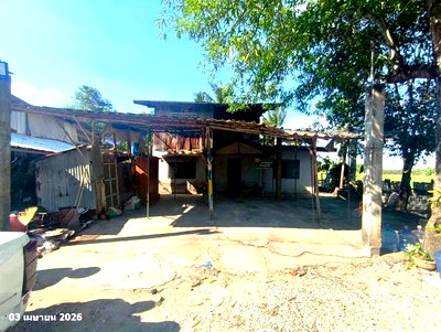 Houses for sale : HOME 117 Sq.w. Han Kha Chainat for 461,000