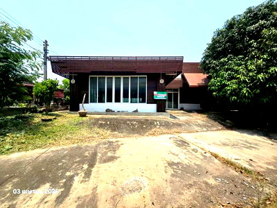 บ้านเดี่ยว เนินขาม ชัยนาท : บ้านเดี่ยว 123 ตร.วา เนินขาม ชัยนาท 1.5M