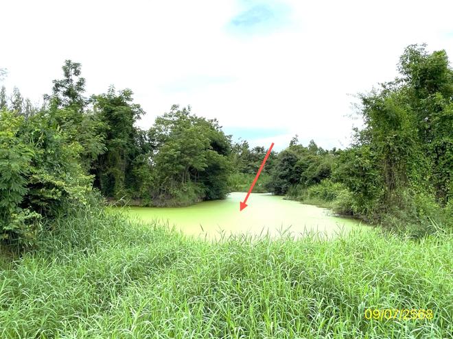 picture LAND 7131 Sq.w. Pak Tho Ratchburi for 3.2M - 10/24