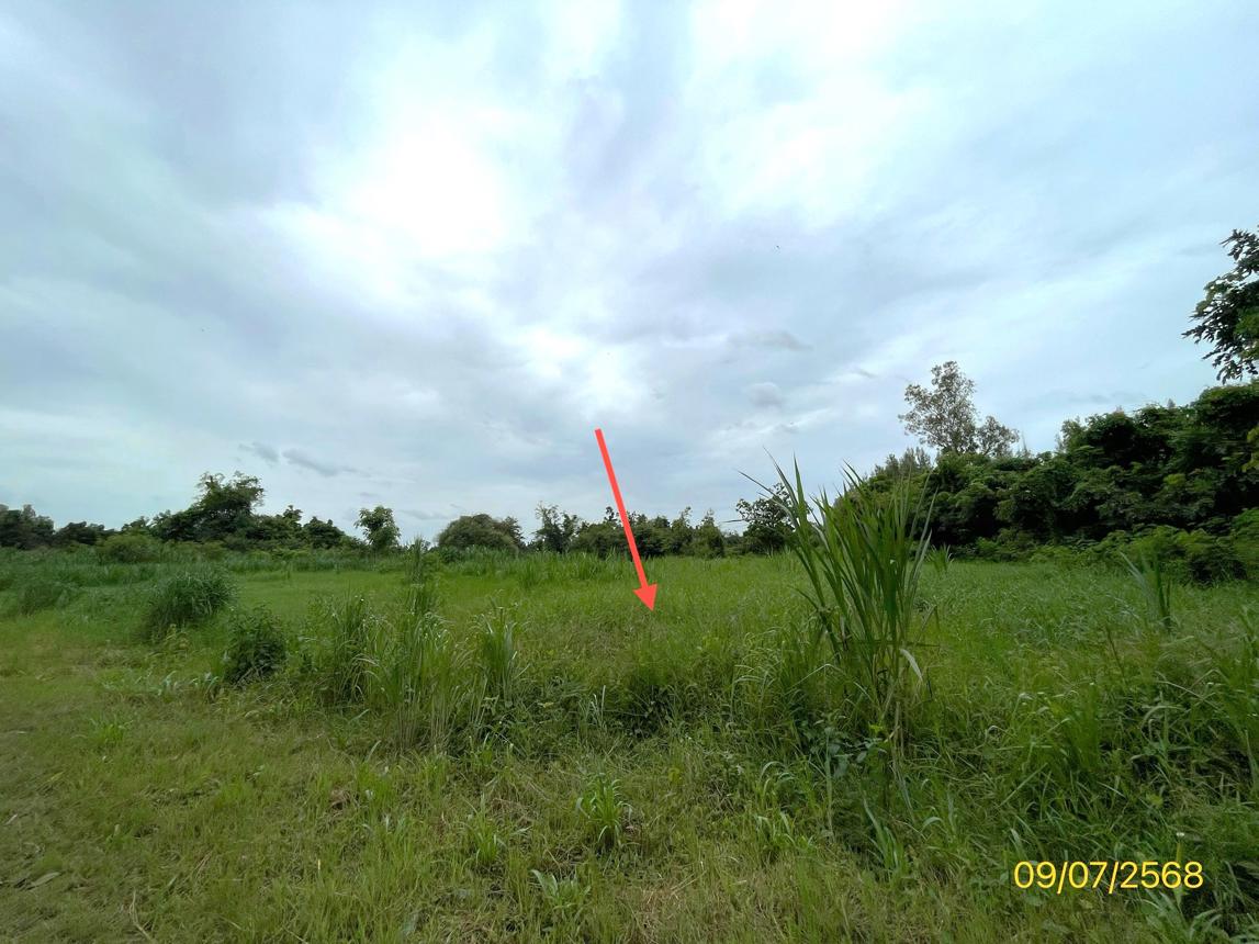 picture LAND 7131 Sq.w. Pak Tho Ratchburi for 3.2M - 18/24