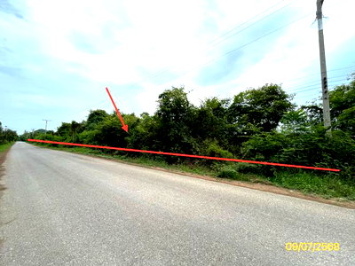 Land for sale Ratchburi : LAND 7131 Sq.w. Pak Tho Ratchburi for 3.2M