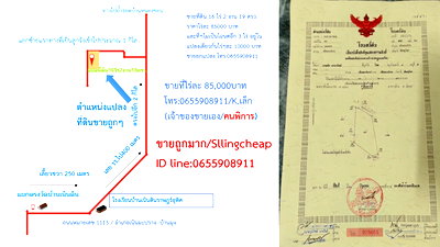 Land for sale Phitsanulok : Selling 16 Rai, 2 Ngan, and 19 Sq. Wah of land at 85,000 THB per Rai, plus an additional 3 Rai at 10,000 THB per Rai.