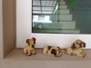listing thumbnail image 10