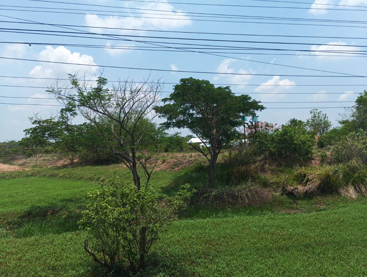 รูป ขายที่ดินเปล่าถมแล้ว ติดถนน เมืองพล-ชัยภูมิ อ.แวงน้อย จ.ขอนแก่น - รูปที่ 2/13