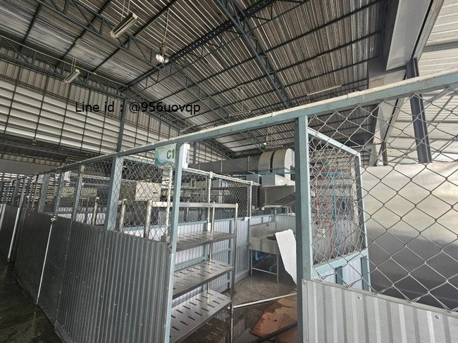 รูป sss422 ขาย ที่ดิน พร้อมสิ่งปลูกสร้าง ถนนรามคำแหง - รูปที่ 8/14