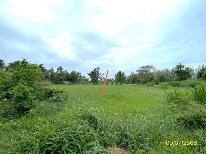 picture LAND 7131 Sq.w. Pak Tho Ratchburi for 3.2M - 6/24