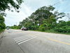 listing thumbnail image 13