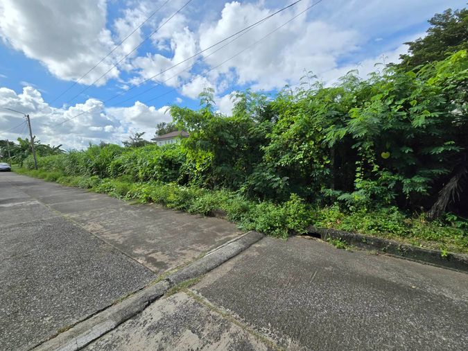 ขายที่ดิน 80 ตร.ว. เขตบางกะปิ