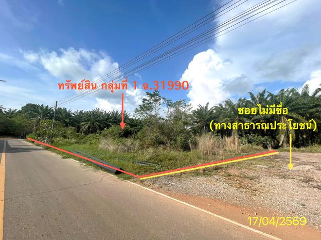 รูป ที่ดินว่างเปล่า 564.2 ตร.วา ปะเหลียน ตรัง 4.2M - รูปที่ 3/30