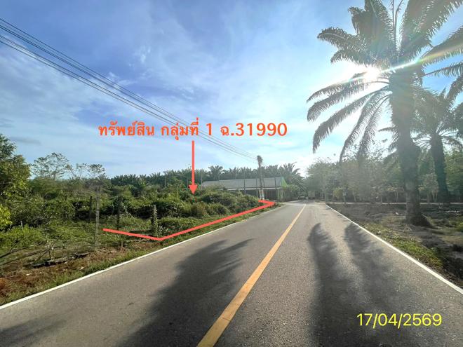 รูป ที่ดินว่างเปล่า 564.2 ตร.วา ปะเหลียน ตรัง 4.2M - รูปที่ 2/30