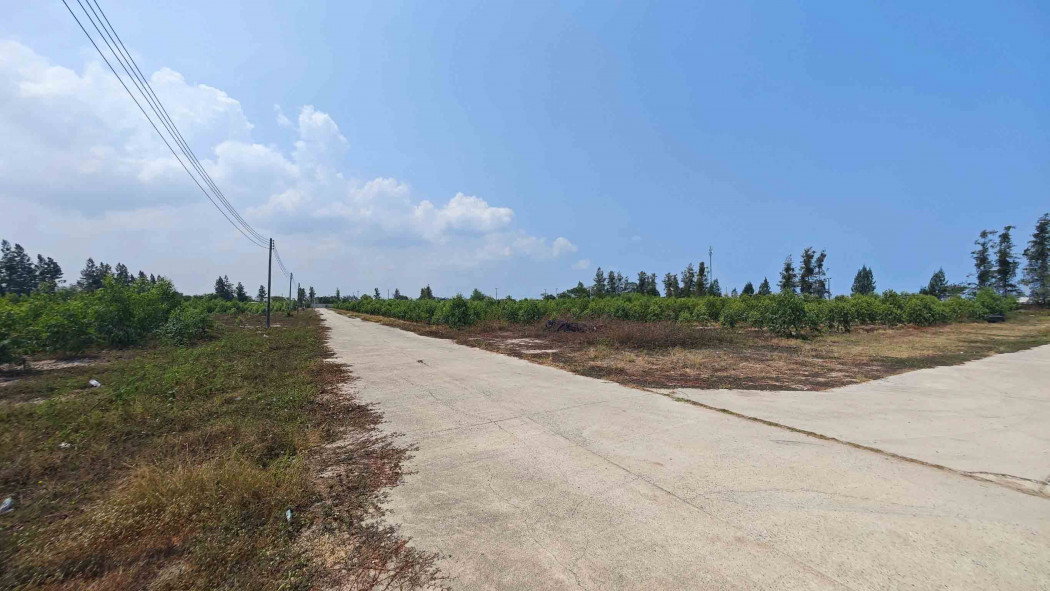 รูป ขาย ที่ดิน ผังสีส้ม ท่าเรือแหลมฉบัง บางละมุง ชลบุรี 52-1-33 ไร่ เหมาะทำโกดัง คลังสินค้า โครงการบ้านจัดสรร - รูปที่ 10/12