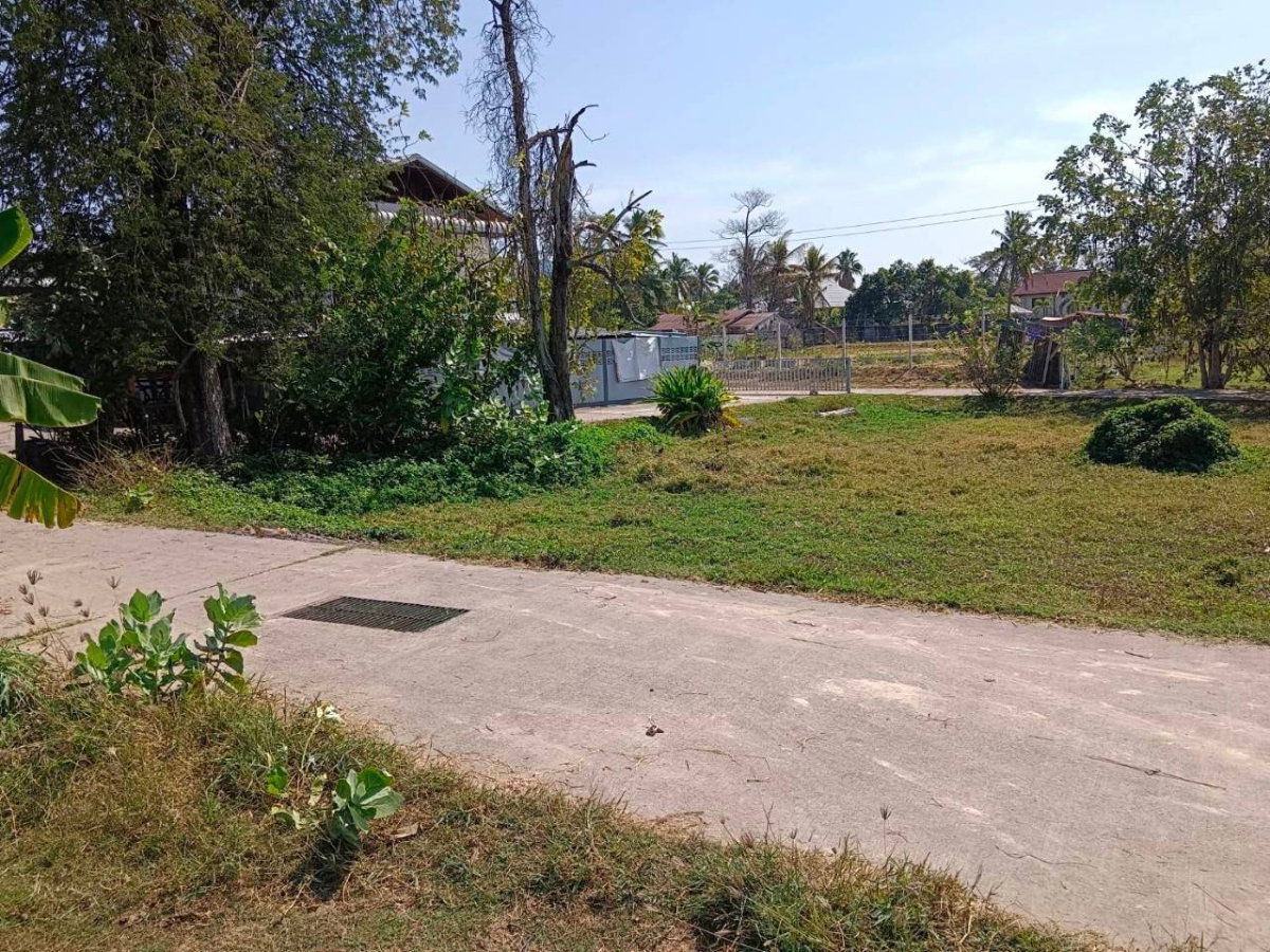 รูป ขายด่วน!! ที่ดินโฉนดครุฑแดง น.ส.4จ. อ.วารินชำราบ จ.อุบลราชธานี ใกล้แหล่งชุมชน  - รูปที่ 2/7