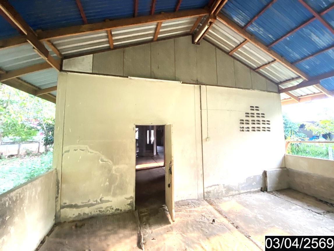 รูป บ้านเดี่ยว 1623 ตร.วา เซกา บึงกาฬ 1.7M - รูปที่ 16/24