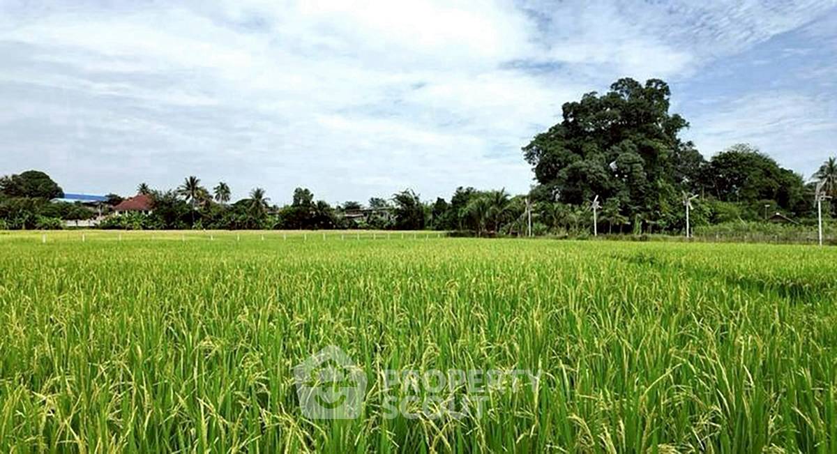 รูป ที่ดินสำหรับปล่อยขาย 9,712 ตารางเมตร แถว ใน ห้วยทราย (ID 2868261) - รูปที่ 7/13