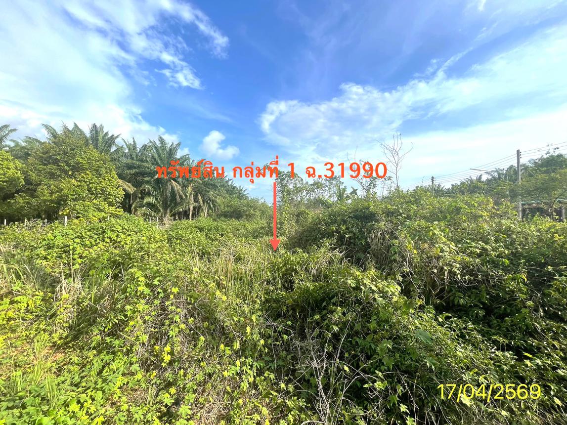 รูป ที่ดินว่างเปล่า 564.2 ตร.วา ปะเหลียน ตรัง 4.2M - รูปที่ 18/30