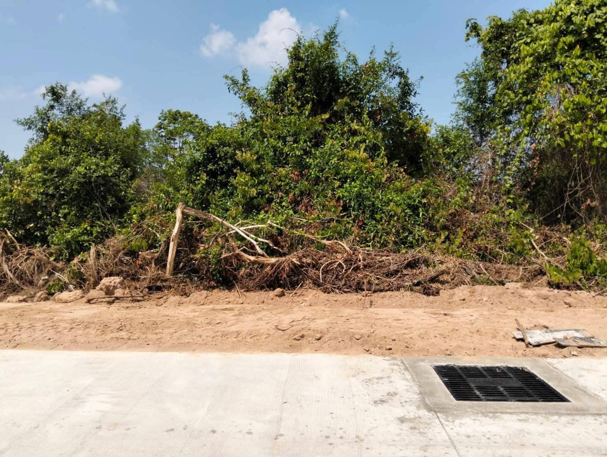 รูป ที่ดิน 56 ตรว. หนองเกตุน้อย บางละมุง ใกล้พัทยา - รูปที่ 2/4