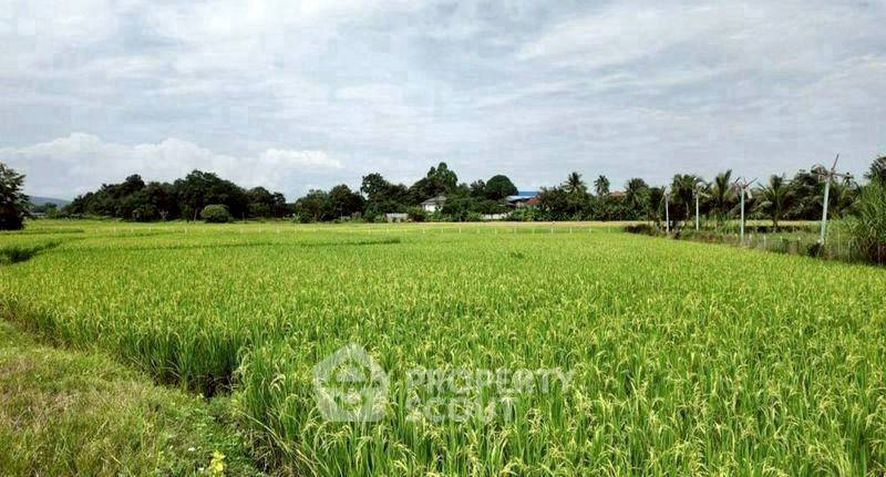 รูป ที่ดินสำหรับปล่อยขาย 9,712 ตารางเมตร แถว ใน ห้วยทราย (ID 2868261) - รูปที่ 6/13