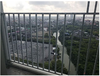 listing thumbnail image 10