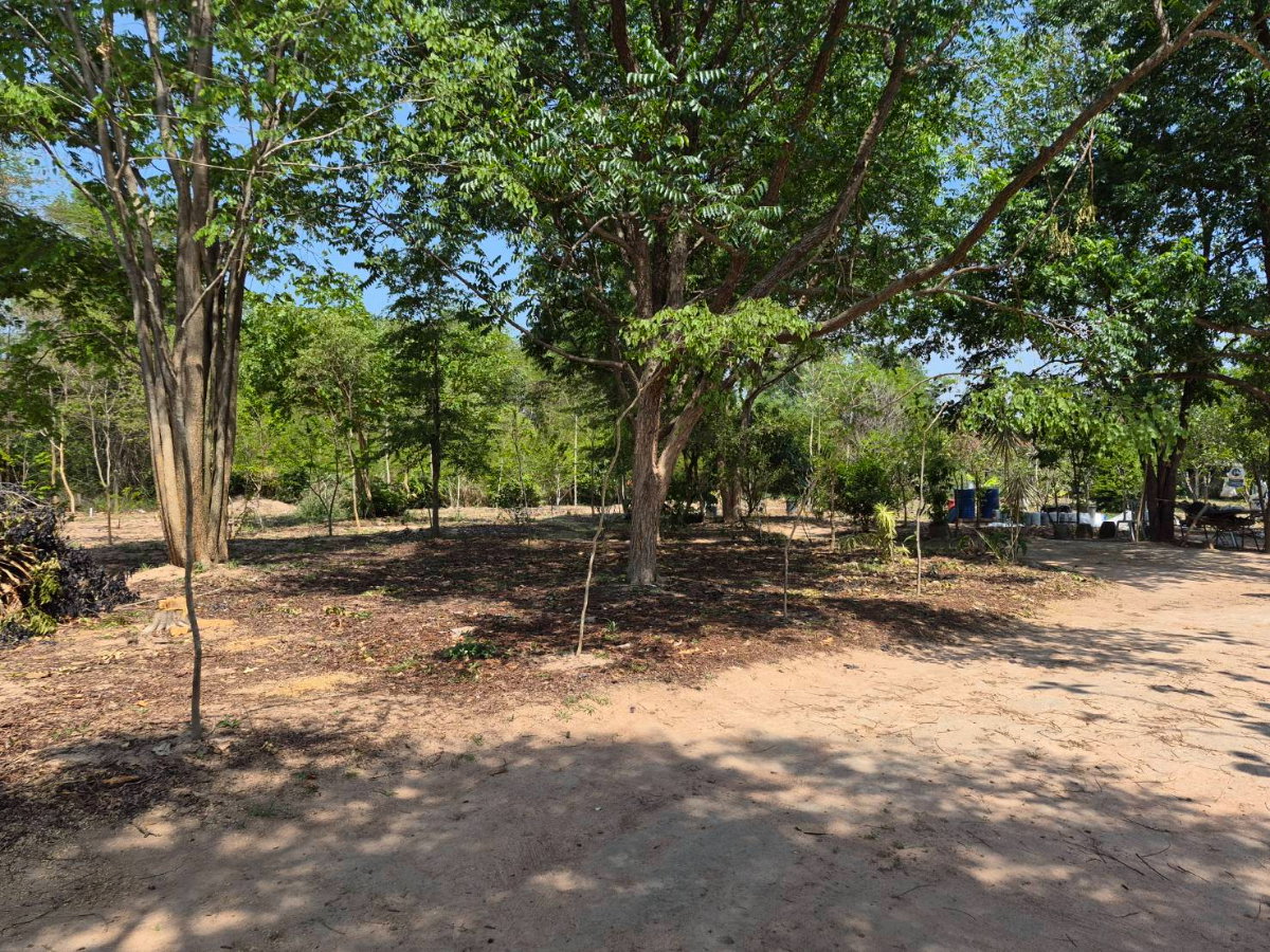 picture Land for sale in downtown Korat - 3/8