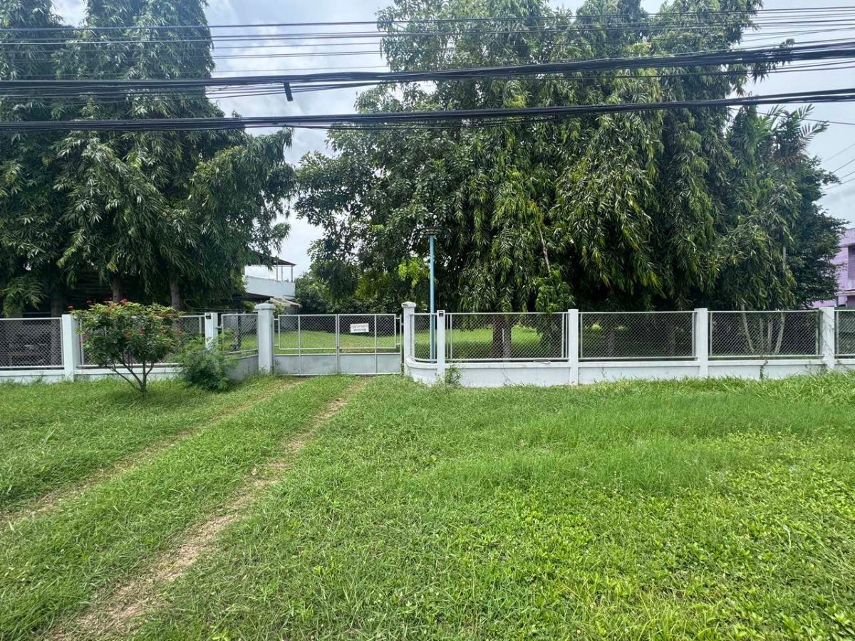 รูป ที่ดินให้เช่า ติดถนนใหญ่ ย่านธุรกิจนครปฐม - รูปที่ 2/6