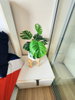 listing thumbnail image 2