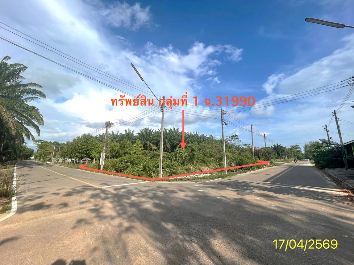 รูป ที่ดินว่างเปล่า 564.2 ตร.วา ปะเหลียน ตรัง 4.2M - รูปที่ 14/30