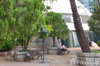listing thumbnail image 14