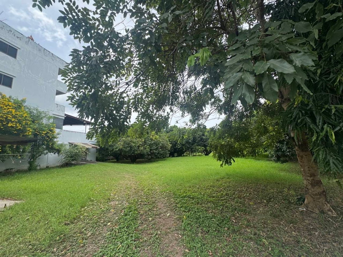 รูป ที่ดินให้เช่า ติดถนนใหญ่ ย่านธุรกิจนครปฐม - รูปที่ 4/6