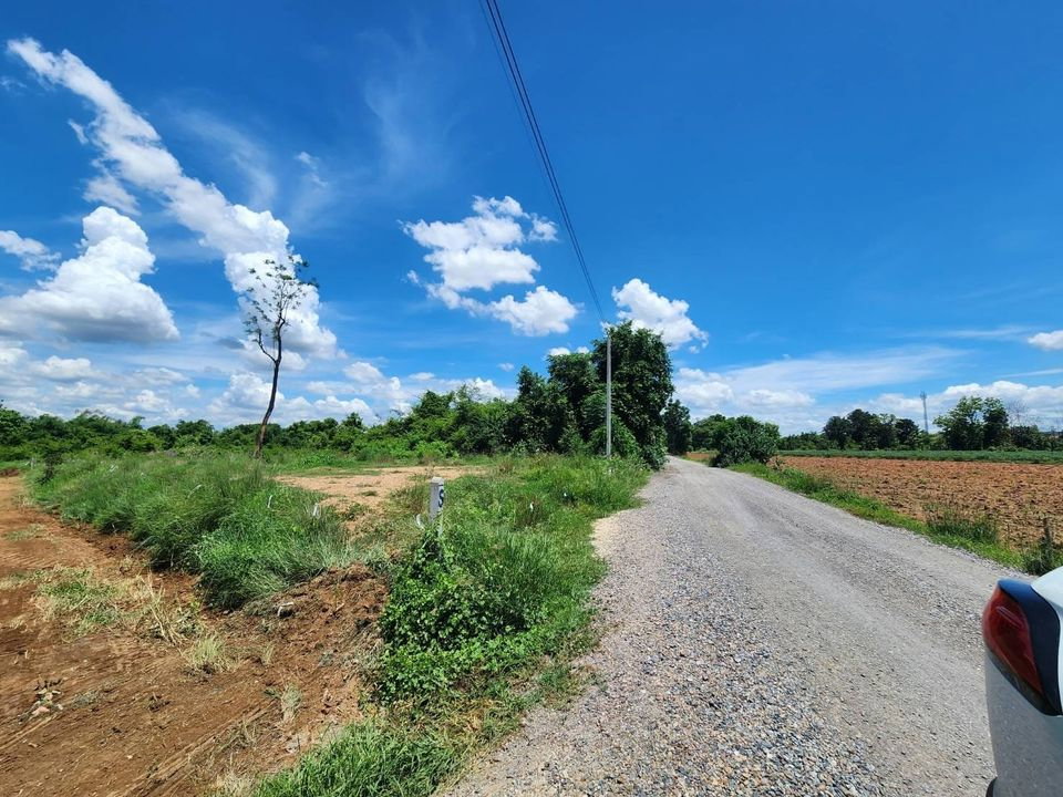 รูป ขายที่ดินเปล่า ราคาพิเศษ 600,000 บาท! ต.หนองปลิง อ.เมือง จ.นครสวรรค์  - รูปที่ 1/2