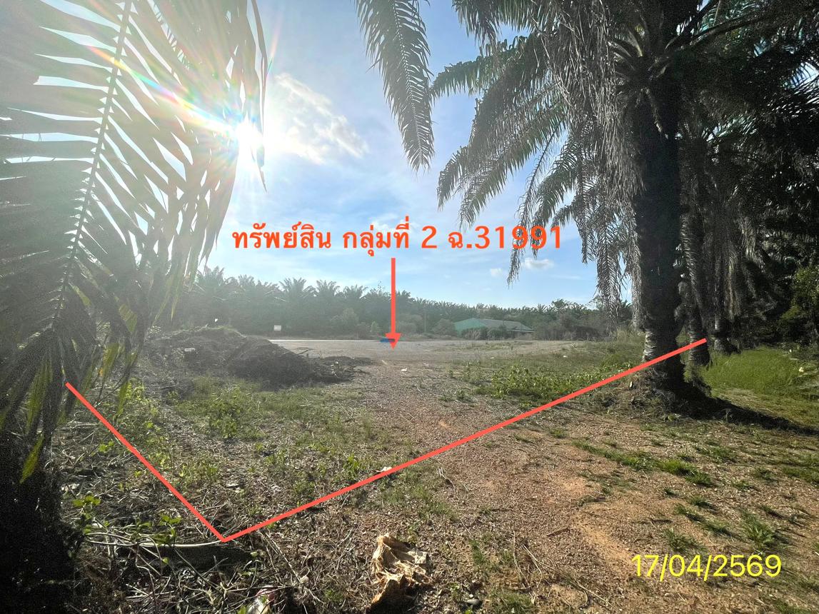 รูป ที่ดินว่างเปล่า 564.2 ตร.วา ปะเหลียน ตรัง 4.2M - รูปที่ 25/30