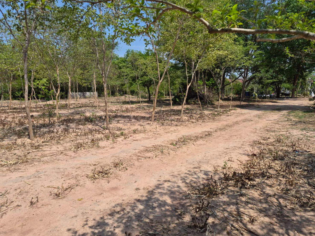 picture Land for sale in downtown Korat - 4/8