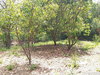 listing thumbnail image 34