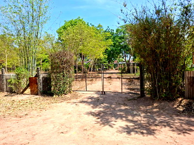 ที่ดิน เมืองนครราชสีมา โคราช : ขายที่ดิน ในเมืองโคราช ใกล้เจ้าสัว ใกล้ตลาดเซฟวัน อยู่ในโซนที่อยู่อาศัย น้ำไม่ท่วม