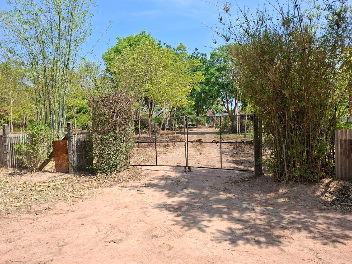 picture Land for sale in downtown Korat - 1/8