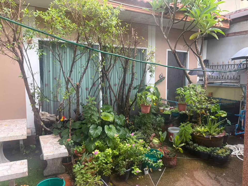 รูป เพชรเกษม 69 บ้านแฝด เนื้อที่เยอะ ตกแต่งสไตล์สวน มบ.อรุณทอง2 - รูปที่ 23/23