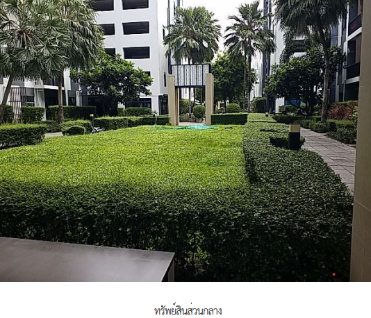 picture CONDO 46.72 Sq.m. Bang Na Bangkok for 2.6M - 15/19