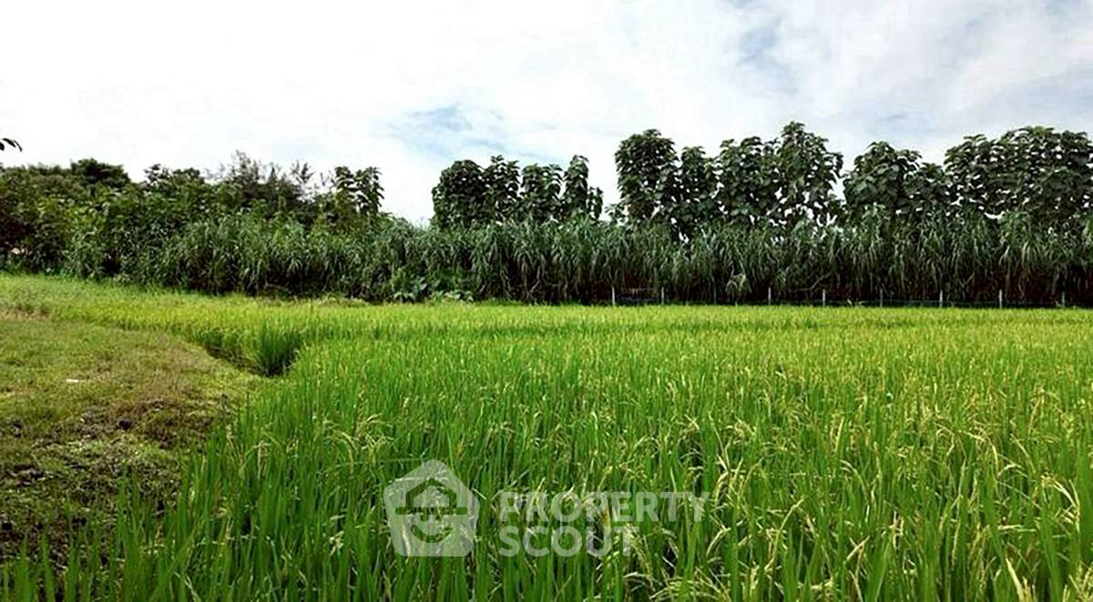รูป ที่ดินสำหรับปล่อยขาย 9,712 ตารางเมตร แถว ใน ห้วยทราย (ID 2868261) - รูปที่ 8/13