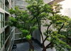 listing thumbnail image 8