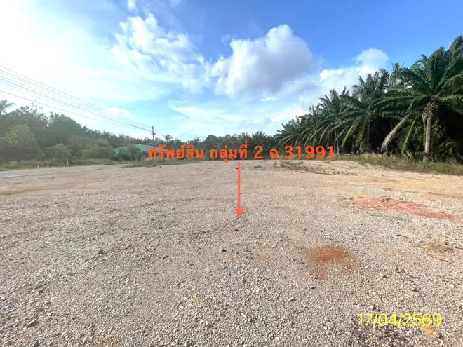 รูป ที่ดินว่างเปล่า 564.2 ตร.วา ปะเหลียน ตรัง 4.2M - รูปที่ 10/30